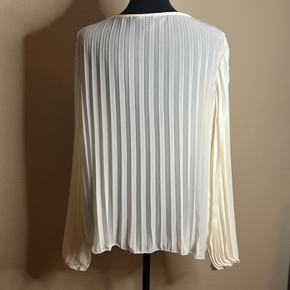 Cream Pleated Chiffon Long-sleeve Blouse - Picture 5 of 6